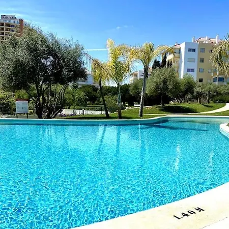 公寓 New Stunning Ocean Aprt In 